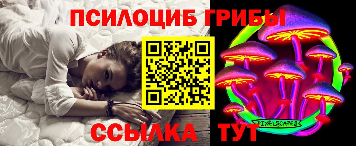 магазин    Псилоцибиновые грибы Cubensis  Вход с VPN  Кунгур 